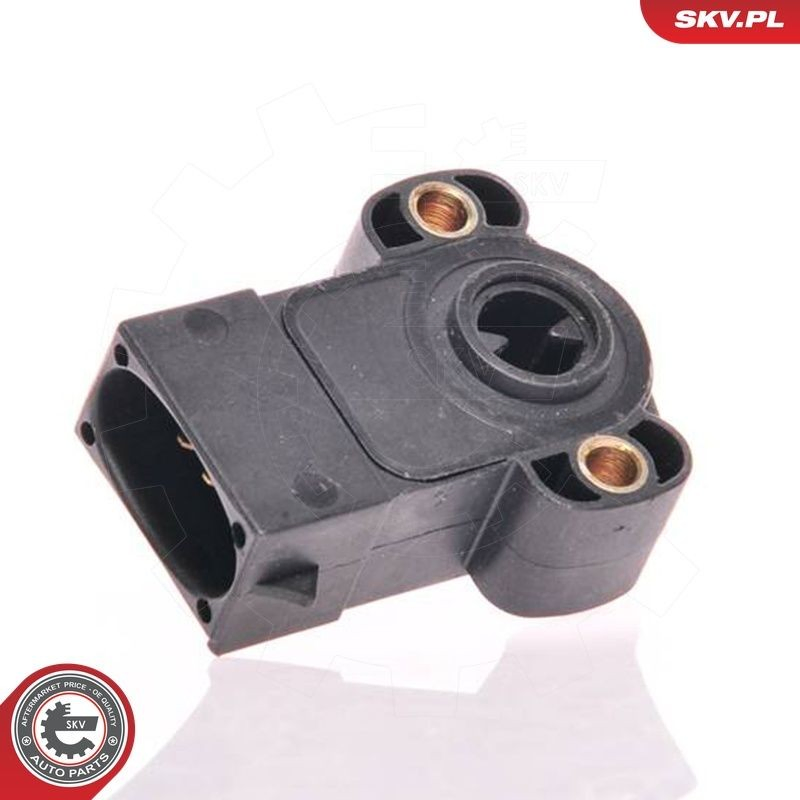 17SKV001 SKV